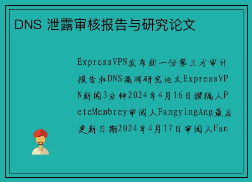 DNS 泄露审核报告与研究论文 